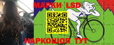 прущие крисы Ачхой-Мартан