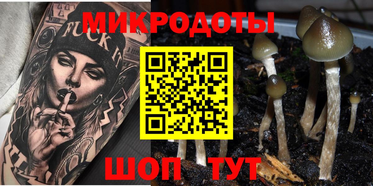 Псилоцибиновые грибы мухоморы  как найти   Псилоцибиновые грибы прущие грибы  Тулун  Вход с VPN 