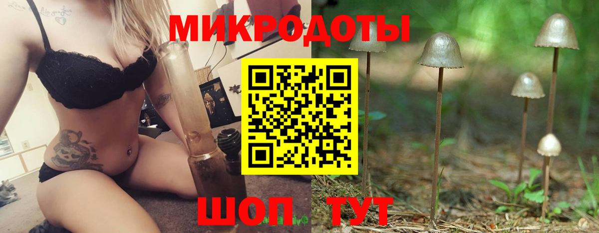 Псилоцибиновые грибы Cubensis Тулун